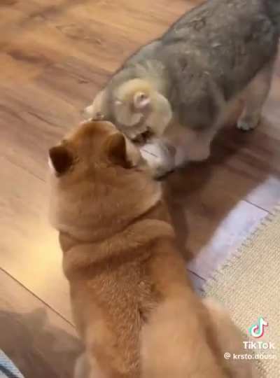 Best Friends here💕