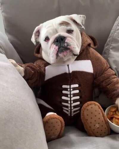 Good boy enjoying the Super Bowl... of treats