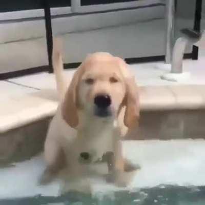 to play in the water; but misjudged the depth!