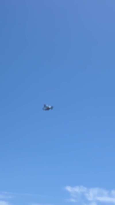 Osprey Spot - Coronado Beach