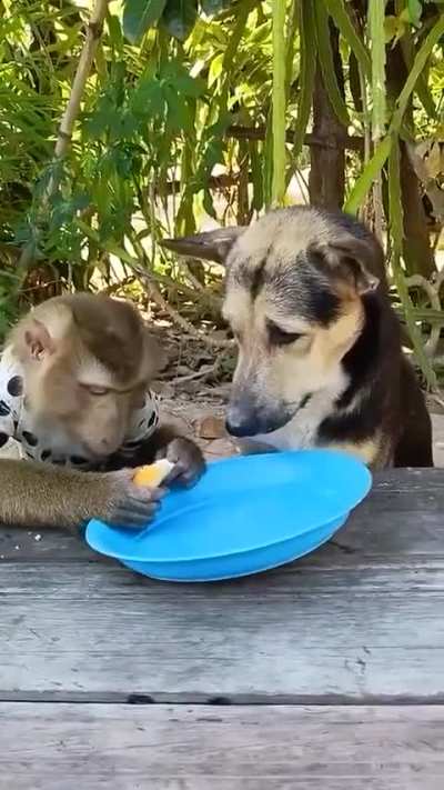 Caption this one 😅🤗