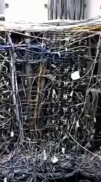 I had to see this, so you guys have to see it as well