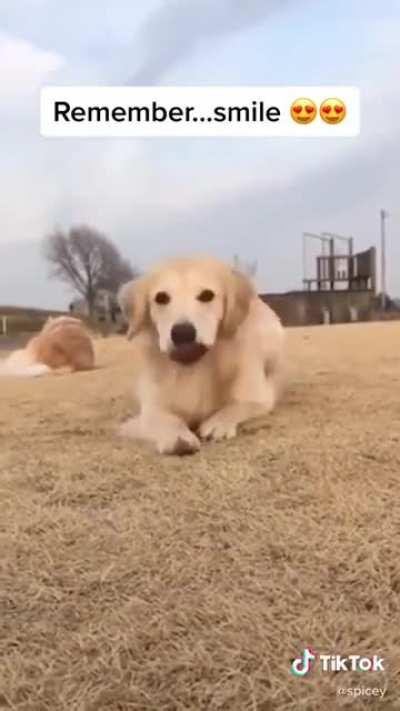 This actually made me smile