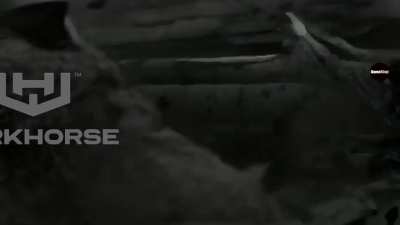 Can Apes and Stallions Unite?🪖🦍🐎