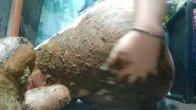 can i sit on your face? [F]