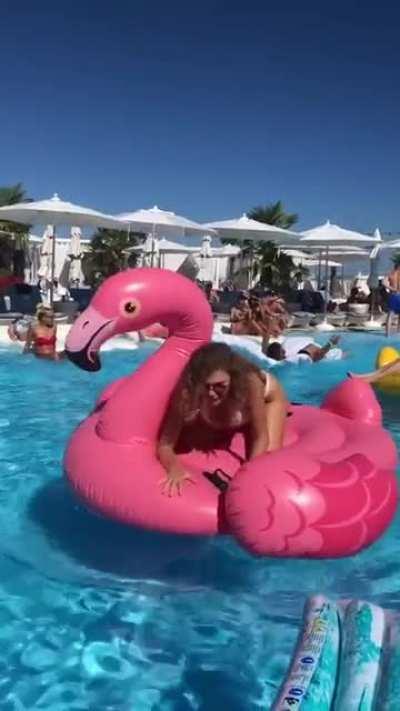 HMC while I ride the pool toy...