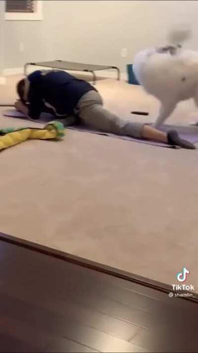 Ass whipping with soft toy