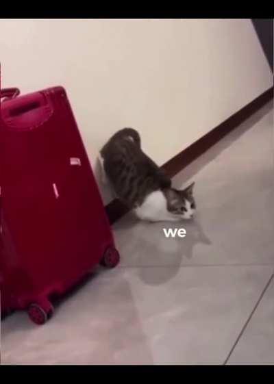 Maybe it’s nap time