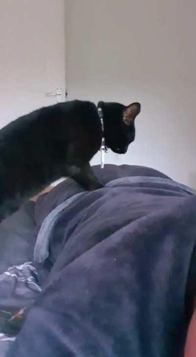 My friend is single in lockdown (UK), so his significant other gives him backrubs