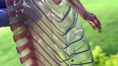 Thanks, I hate diaphanized chameleon