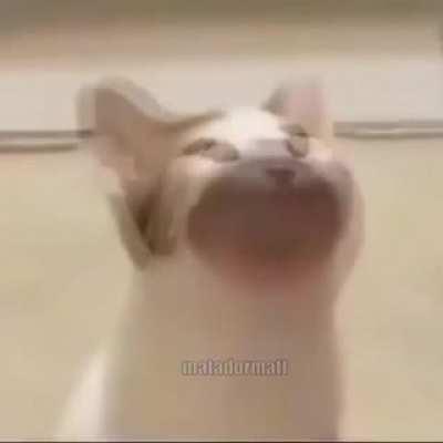 When you step on a Lego