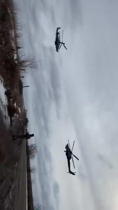 Ka-52 & Mi-28 [video]