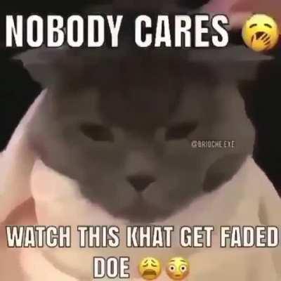 What da cat doin 🤯