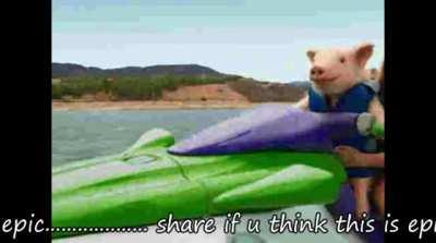 wtf............. rule...................