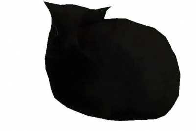 When in inventory, the cat