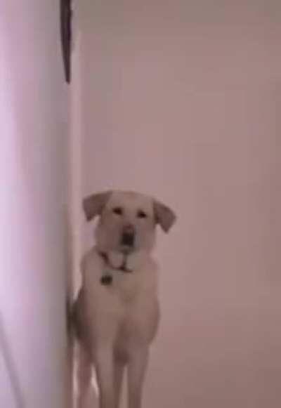 ta olhando o q ? sua pu#@