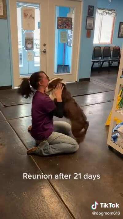 Thought this place could use some wholesome right now