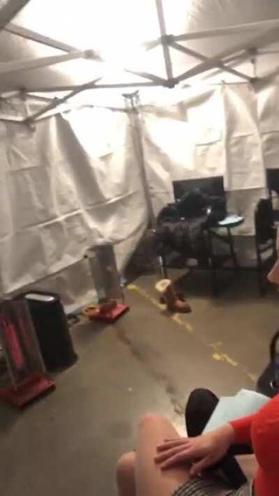 Lili's Tight Red Top