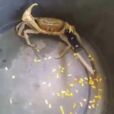 Constantly amazed by how diverse the knife community has become