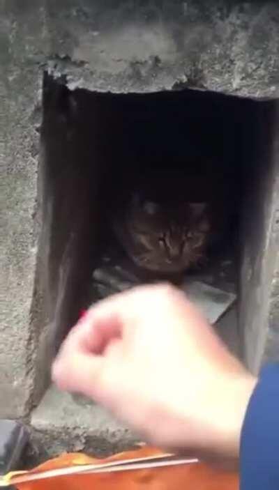 Олег устроился в налоговую