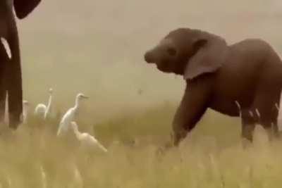 When you are little and you realize there is something hanging there