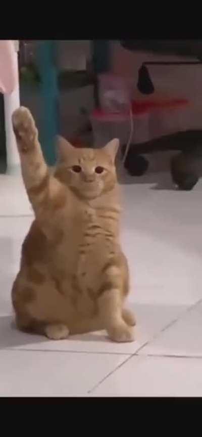 Can you guess the country?