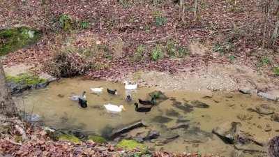 A moment in my slice of heaven