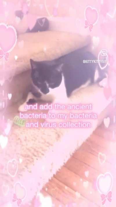 Lunker fighting climate change on the side of the fossil fuels 2