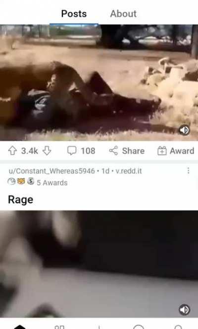 coincidence? No. Perfection.