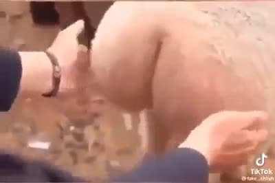 The peak of Christianity