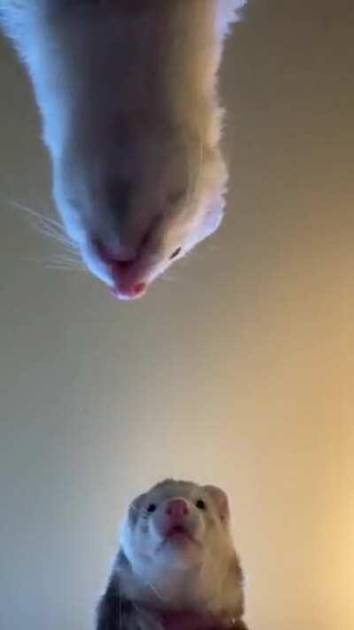 Did we just become best friends?!