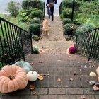 These two Best friends are so happy to get together