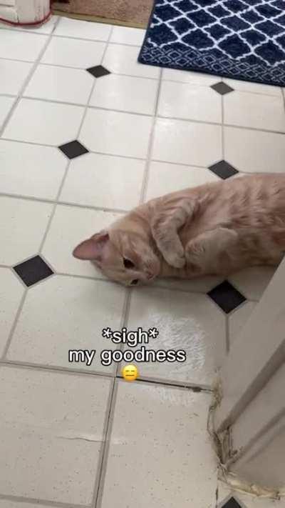 I can’t get any privacy in this house 👀🏠