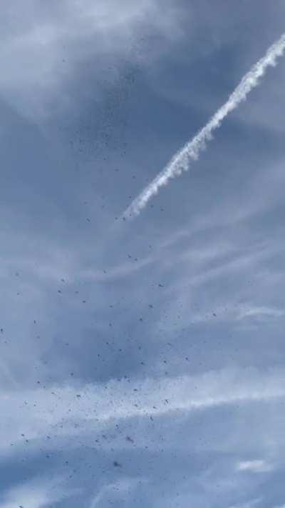 It’s moments like this where I wish I had a shotgun