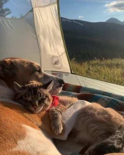 There is only one word to describe this feeling: perfection.