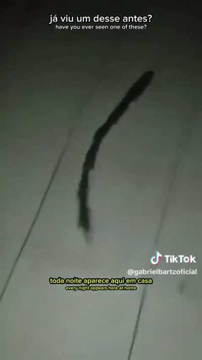 Algum biólogo pode falar o nome dessa entidade?