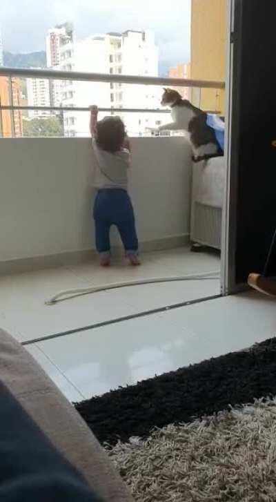 Cat’s smarter than the kid