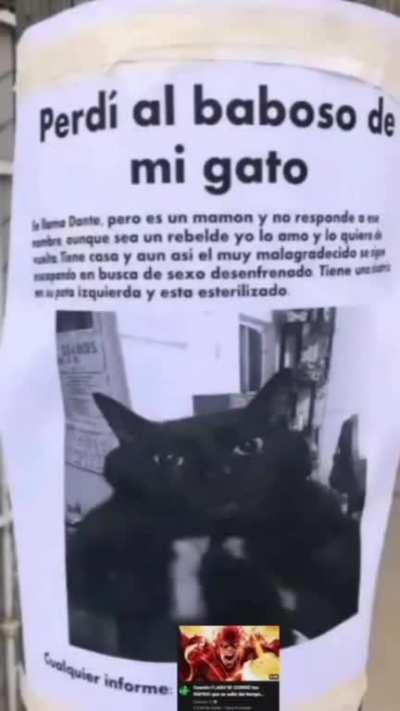 BeelcitosMemes - Video #1425