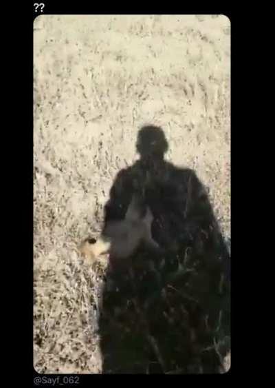 HMF while I stop this human