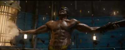 There are 206 bones in the human body. 207 if I'm watching Hugh Jackman shirtless