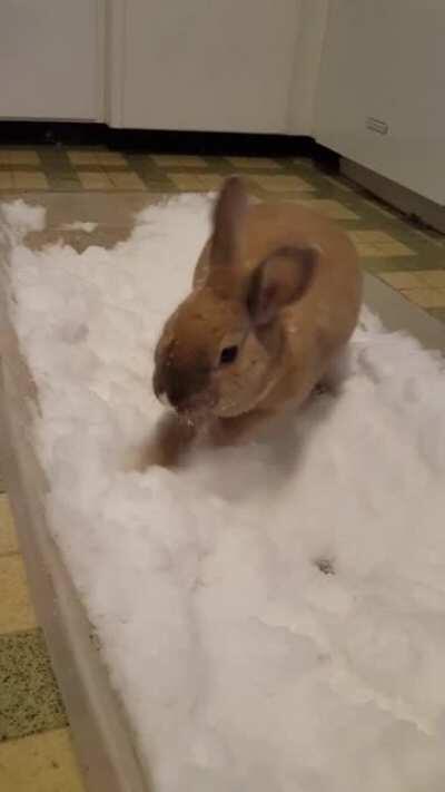 Too cold to play outside. So, we brought the snow day indoors.