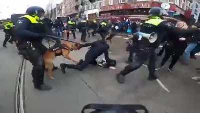 More video from the Netherlands