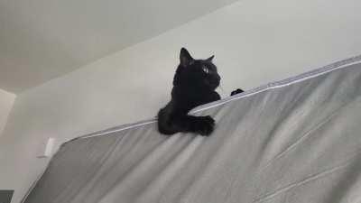 Hired this rando to help me move... 3/5, would hire again if absolutely necessary.