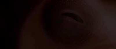 1 dakikada insanlığın hikayesi