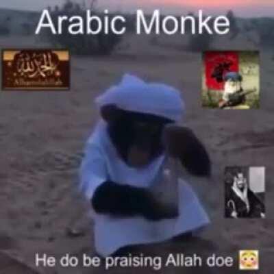 قرد يصلي لا اصدق ماذا ارى Monkey Praying OMG 100% real (no photoshop) free install تحميل افلام سكس عربي بالعربي (١٠٠٪؜ مضمون) VIRUS FREE FOR MY PC CRACKED 2021 لحم خنزير 🐖 حرام 🙅🏻‍♂️ NO PORK HARAM عربي ARAB VIDEOS و طاب مسائكم عنبر
