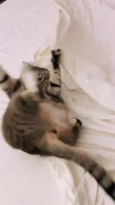 Every second it gets more and more chaotic!