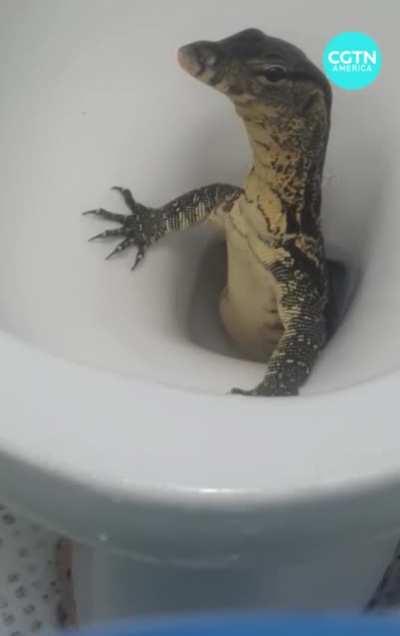 Meet your new phobia