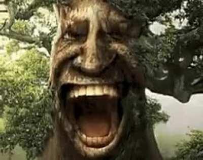 saw this in the forest yesterday