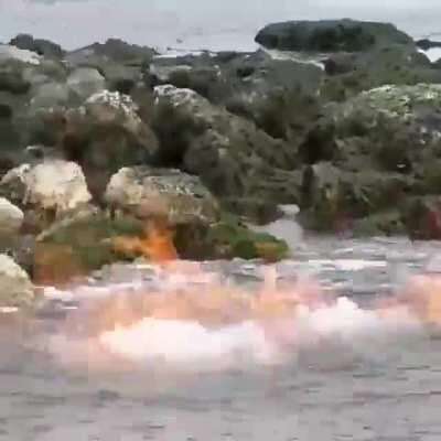 🔥 Phenomenon on the coast of Mocha Island, Chile.