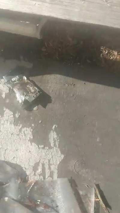 New phone, turned brightness down and BOOM! That's the aftermath.